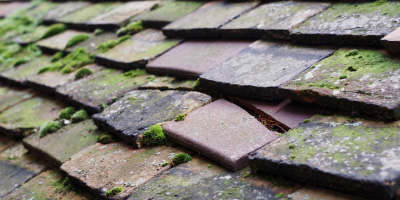 Waterstock roof repair costs